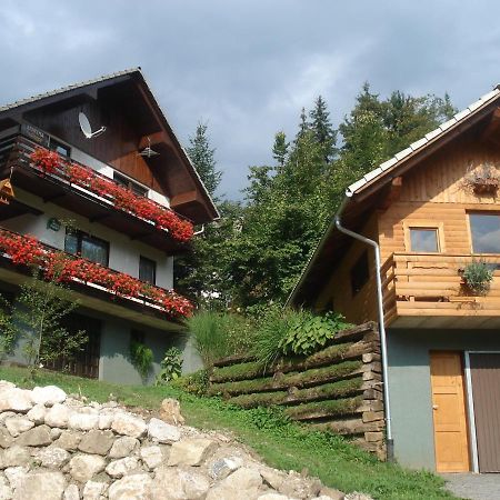 Апартаменты Apartma Podlogar Golica Triglav Есенице Экстерьер фото